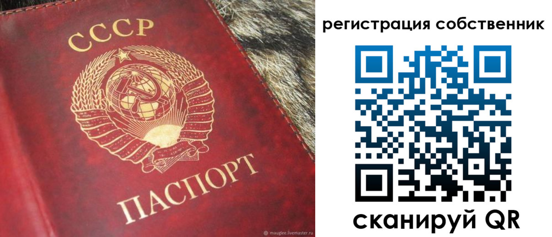 временная регистрация надежно в Мирном